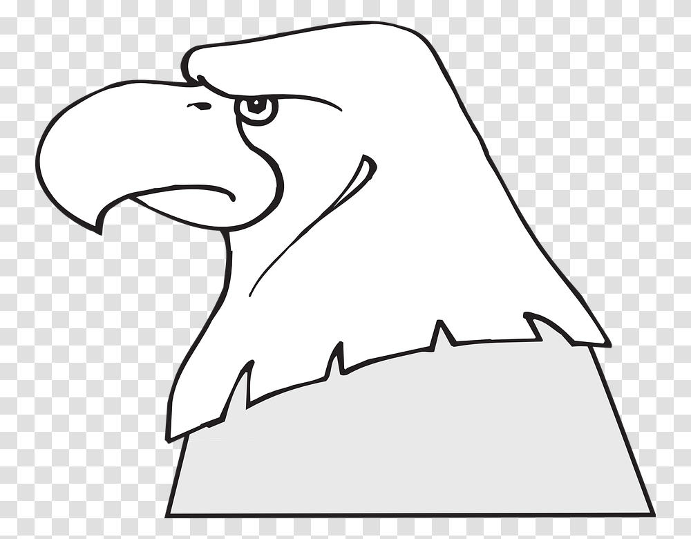 Eagle, Beak, Bird, Animal, Vulture Transparent Png