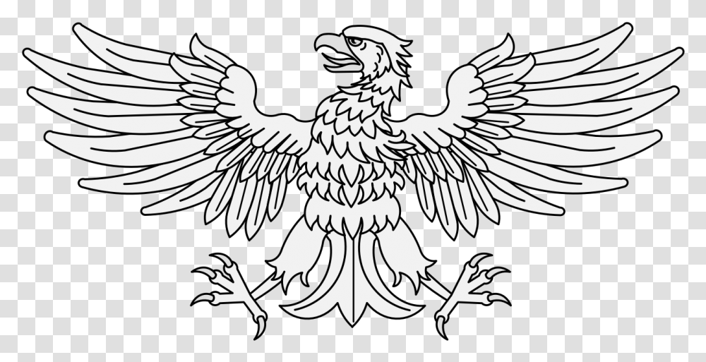 Eagle, Bird, Animal, Bald Eagle, Flying Transparent Png