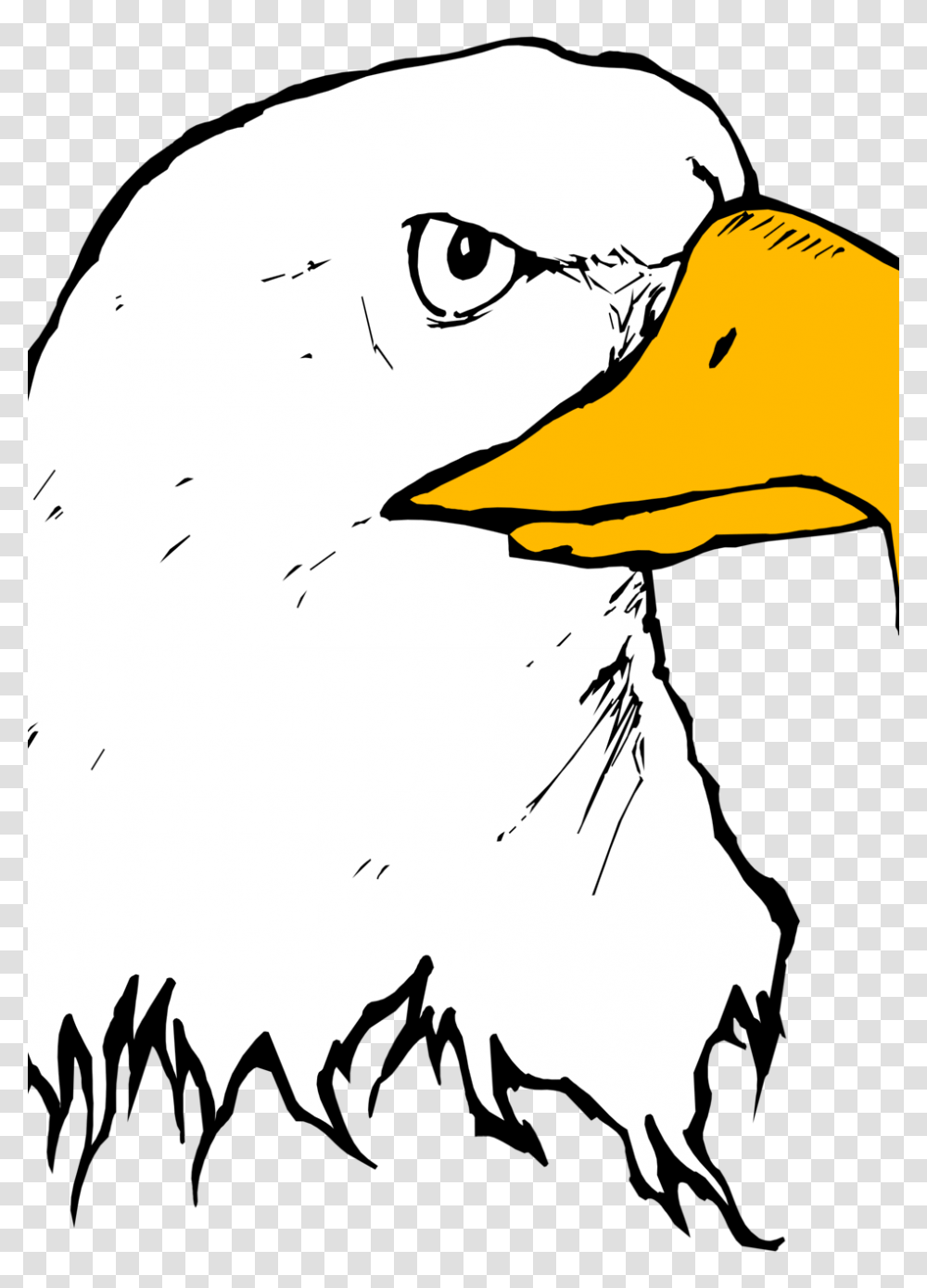 Eagle, Bird, Animal, Sunglasses Transparent Png