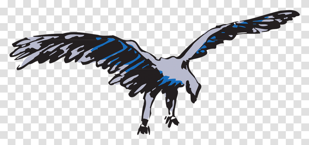 Eagle, Bird, Animal, Vulture, Flying Transparent Png