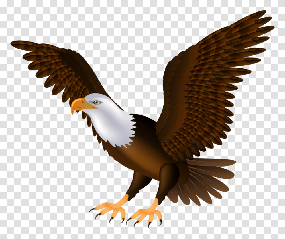 Eagle Bird Clipart, Animal, Bald Eagle, Flying, Kite Bird Transparent Png