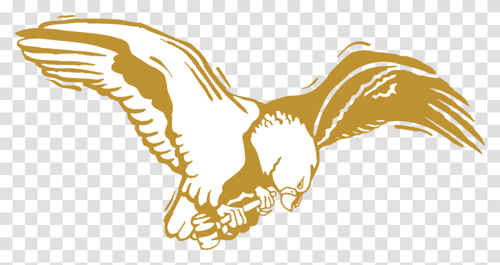Eagle Bird Gold Wings Feathers Golden Eagle Background, Animal, Poultry, Fowl, Chicken Transparent Png