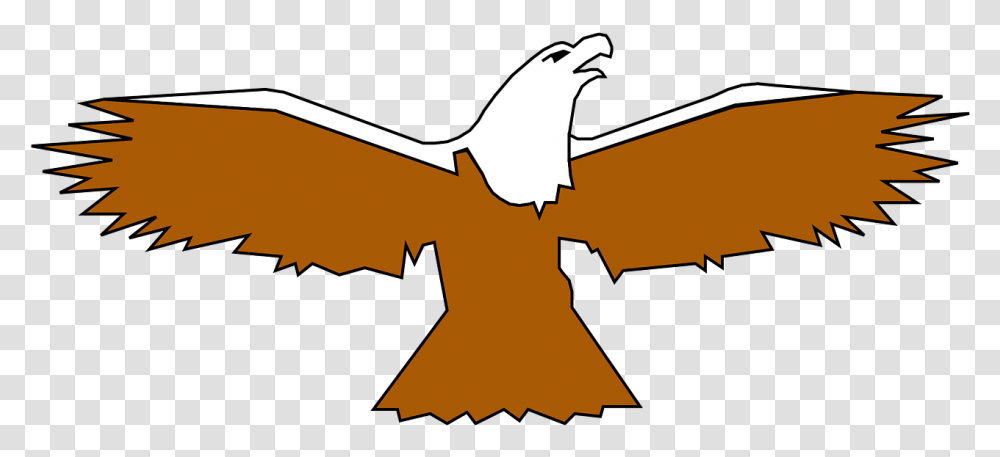 Eagle Bird Spread Wings Bird With Its Wings Out, Wildlife, Animal, Bat, Mammal Transparent Png