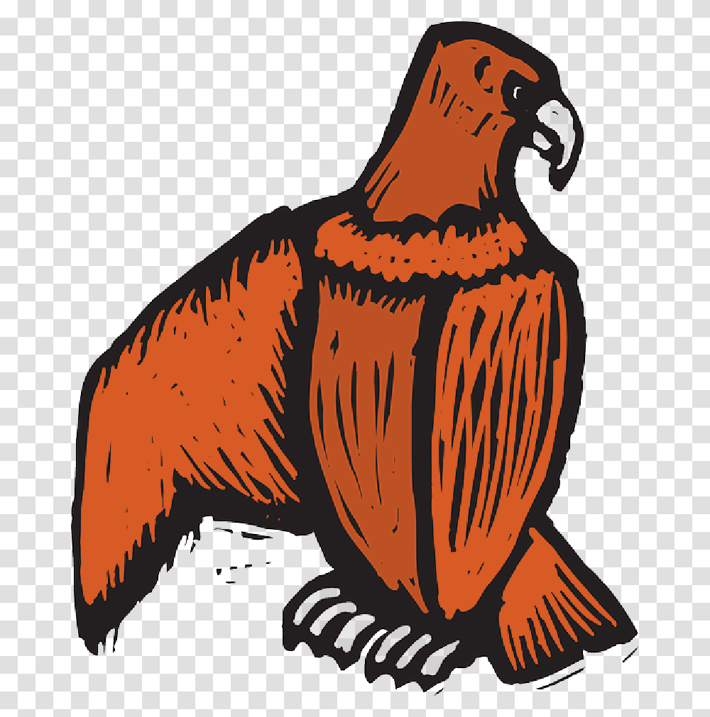 Eagle Bird Style Wings Art Off Beak Scratch Birds, Animal, Hawk, Buzzard, Vulture Transparent Png