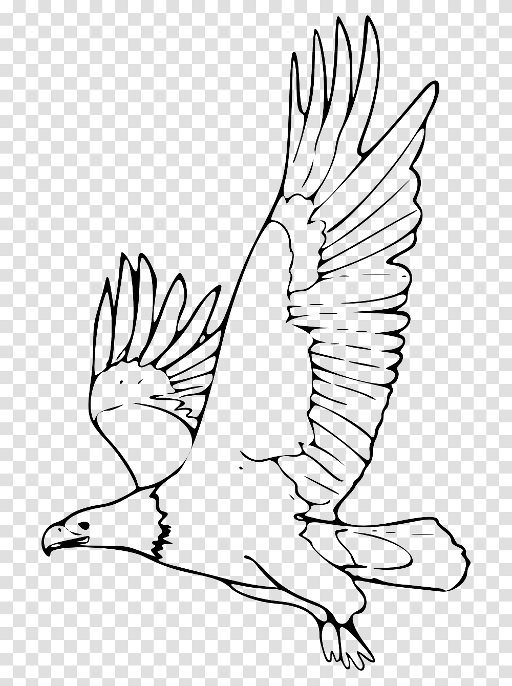 Eagle Black And White Clipart, Animal, Bird, Flying, Goose Transparent Png