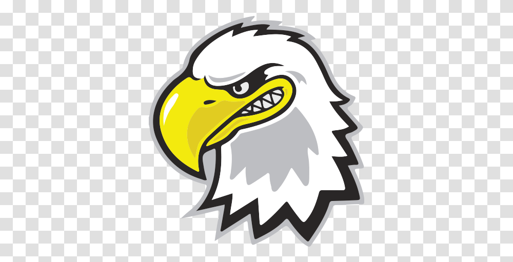 Eagle Cartoon Logo, Bird, Animal, Bald Eagle, Beak Transparent Png