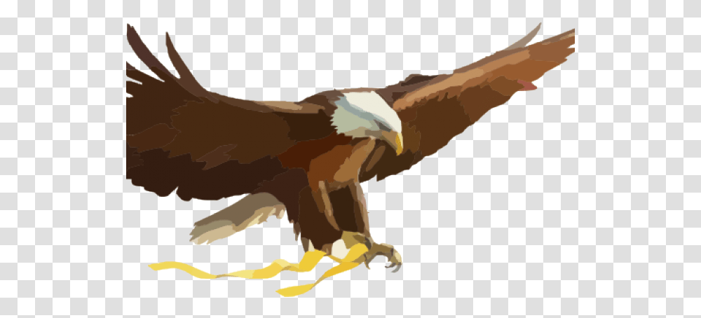 Eagle Cartoon Pictures Cartoon Eagle, Bird, Animal, Vulture, Hawk Transparent Png