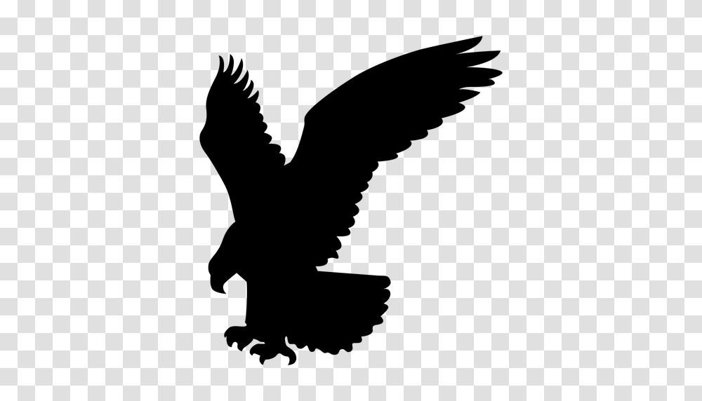 Eagle Catching Silhouette, Gray, World Of Warcraft Transparent Png