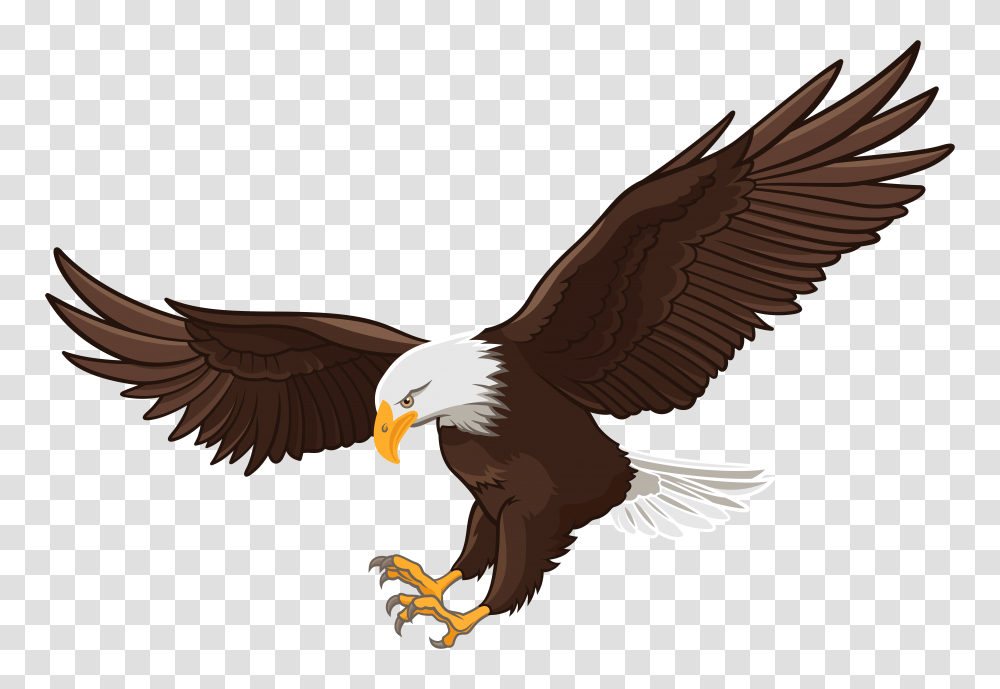 Eagle Clip Art, Bird, Animal, Bald Eagle, Flying Transparent Png