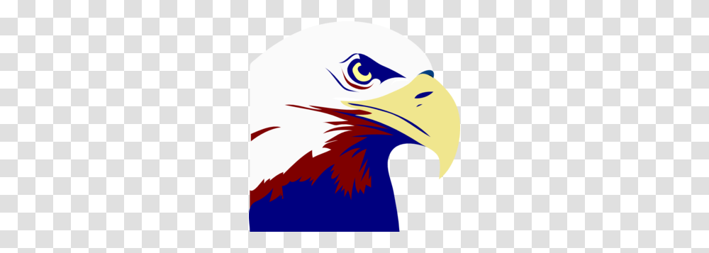 Eagle Clip Art, Bird, Animal, Beak, Bald Eagle Transparent Png