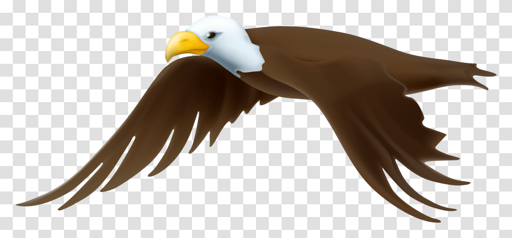 Eagle Clip Art, Bird, Animal, Beak, Vulture Transparent Png