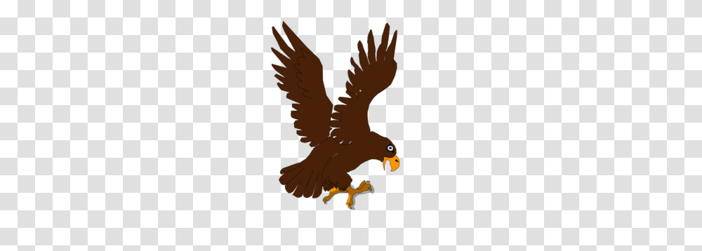 Eagle Clip Art, Bird, Animal, Hawk, Bald Eagle Transparent Png