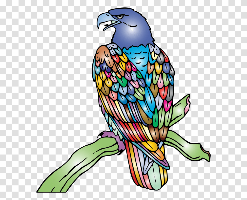 Eagle Clip Art, Bird, Animal, Kite Bird, Bluebird Transparent Png