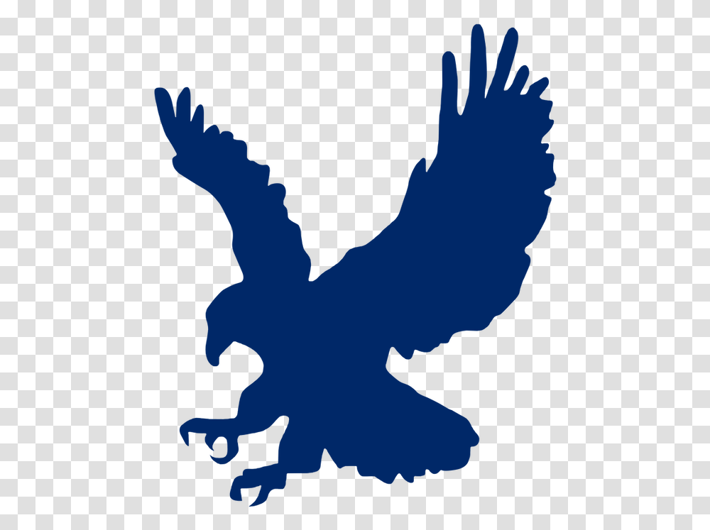 Eagle Clip Art, Bird, Animal, Vulture Transparent Png