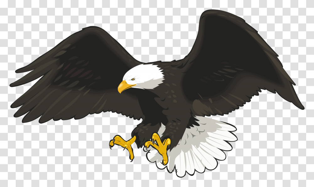 Eagle Clip Art Image, Bird, Animal, Bald Eagle, Flying Transparent Png