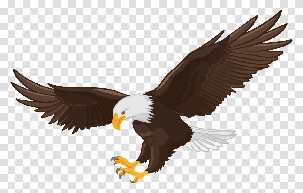 Eagle Clip, Bird, Animal, Bald Eagle, Flying Transparent Png
