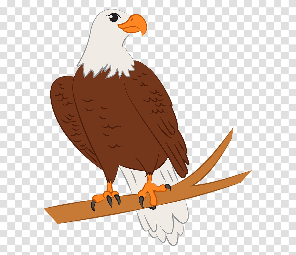 Eagle Clipart Bald Eagle, Bird, Animal, Beak, Kite Bird Transparent Png