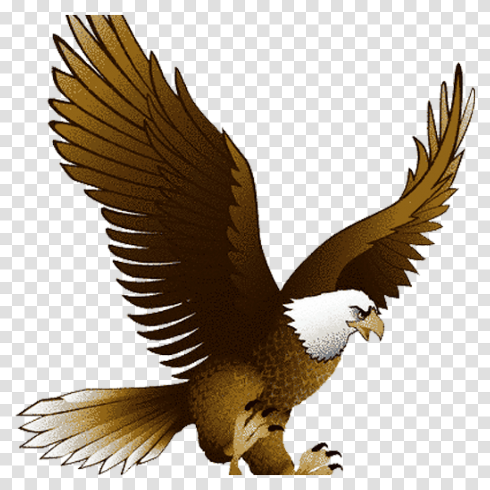 Eagle Clipart Bald Eagle Clipart School Clipart Flying Eagle Clipart, Bird, Animal, Kite Bird, Hawk Transparent Png