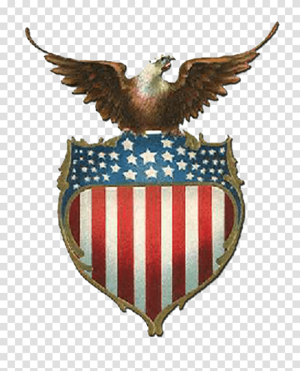 Eagle Clipart Bald Eagle Zazzle T Shirt Us Eagle, Armor, Shield, Bird, Animal Transparent Png