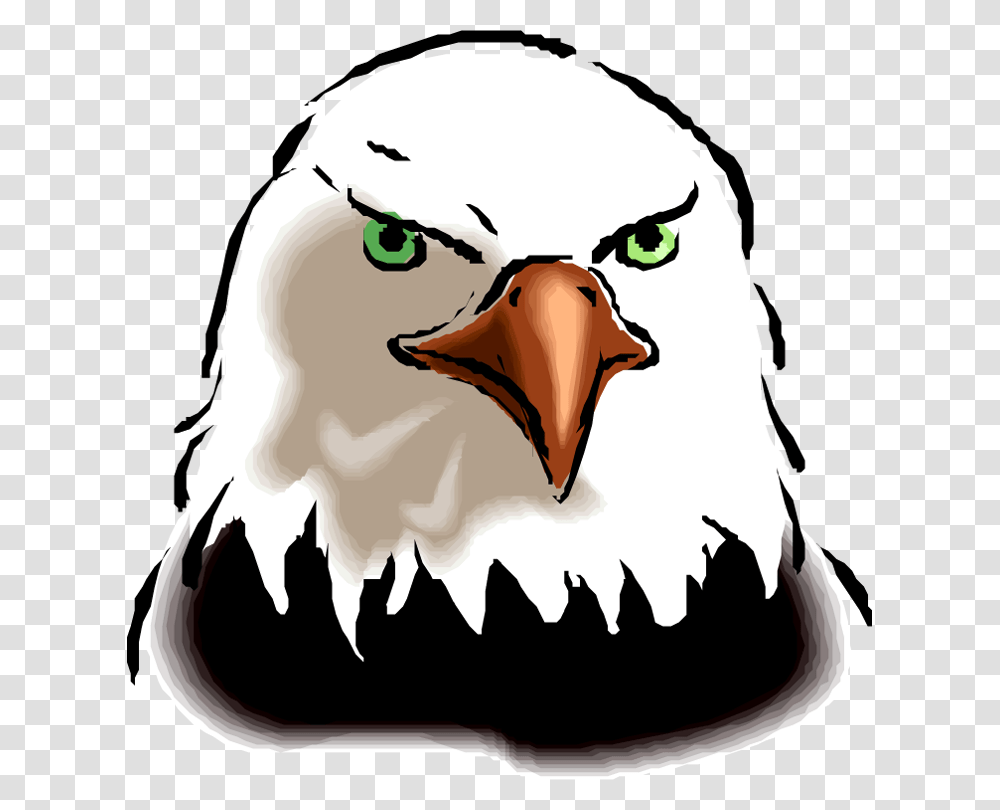 Eagle Clipart, Beak, Bird, Animal, Poultry Transparent Png