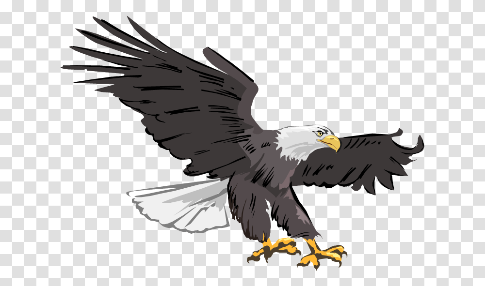 Eagle Clipart, Bird, Animal, Bald Eagle, Flying Transparent Png