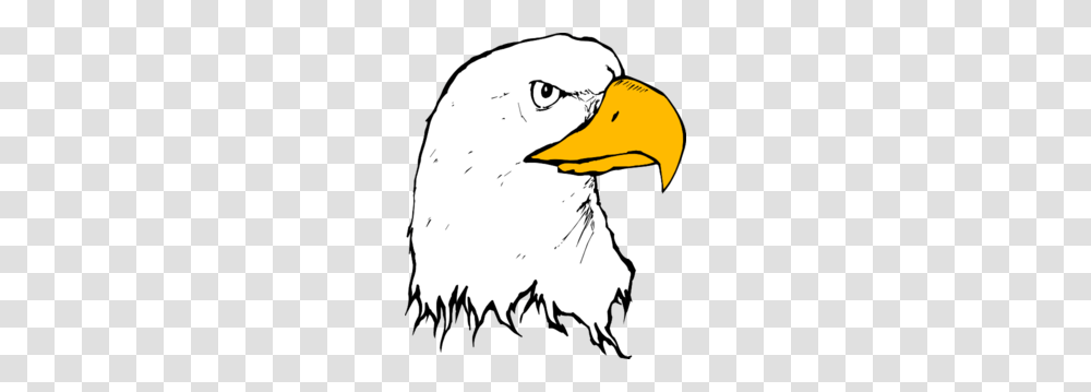 Eagle Clipart Black And White, Beak, Bird, Animal, Bald Eagle Transparent Png