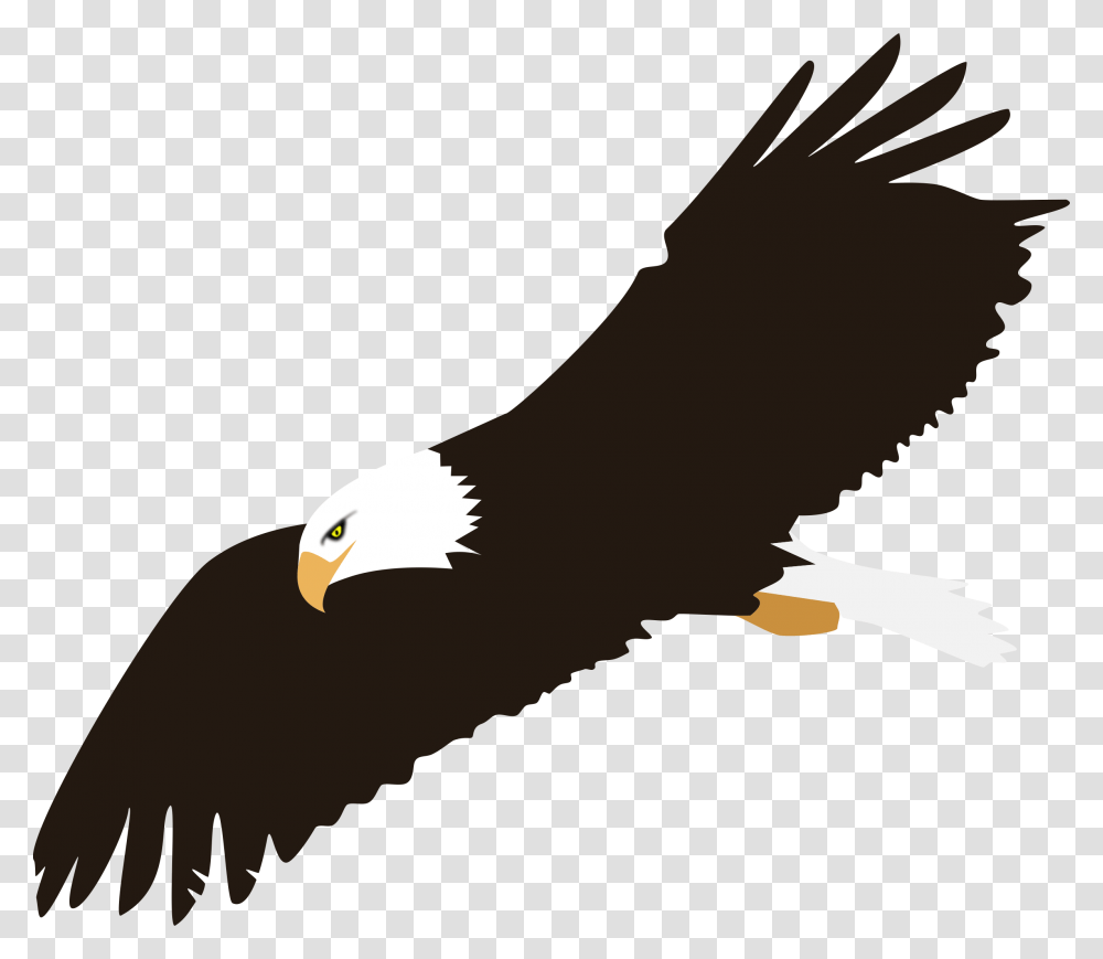 Eagle Clipart Graphic, Bird, Animal, Bald Eagle, Flying Transparent Png