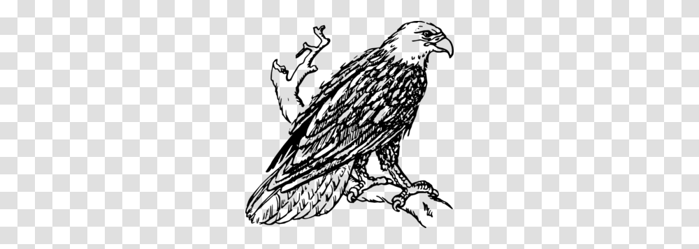 Eagle Clipart Perched, Gray, World Of Warcraft Transparent Png