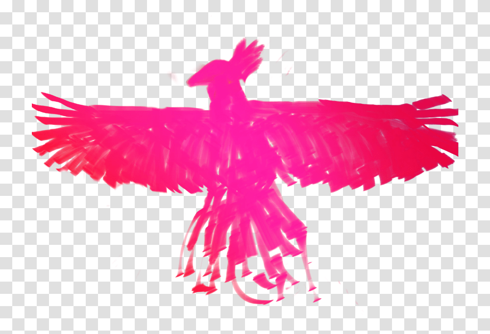 Eagle, Apparel, Feather Boa, Scarf Transparent Png