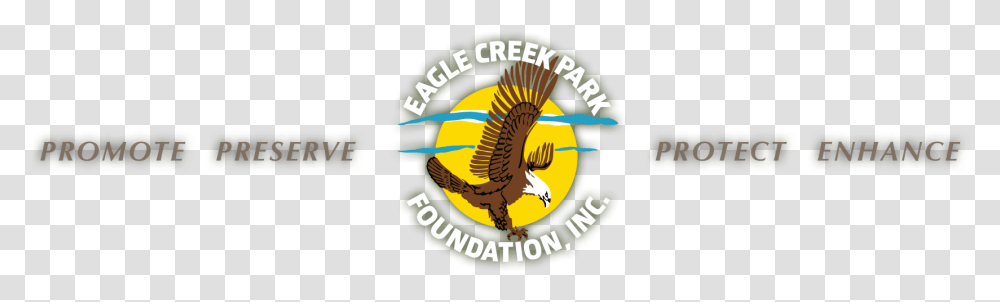Eagle Creek Park Foundation Hd Download, Logo, Animal, Bird Transparent Png