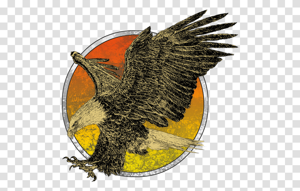 Eagle Download, Bird, Animal, Vulture Transparent Png