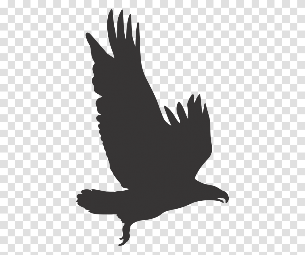 Eagle Eagle Silhouette Silhouette Silhouette Eagle Clipart, Animal, Mammal, Bird, Cat Transparent Png