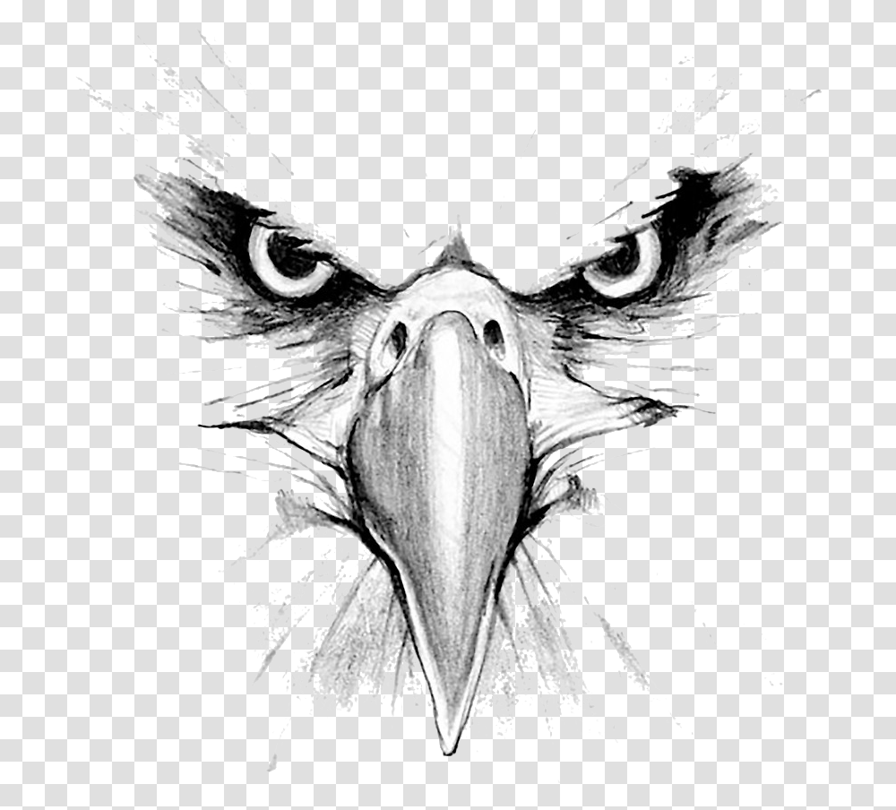 Eagle Face Tattoo Design, Beak, Bird, Animal Transparent Png