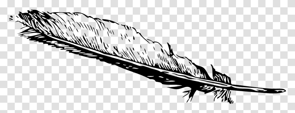 Eagle Feather Clip Art, Gray, World Of Warcraft Transparent Png