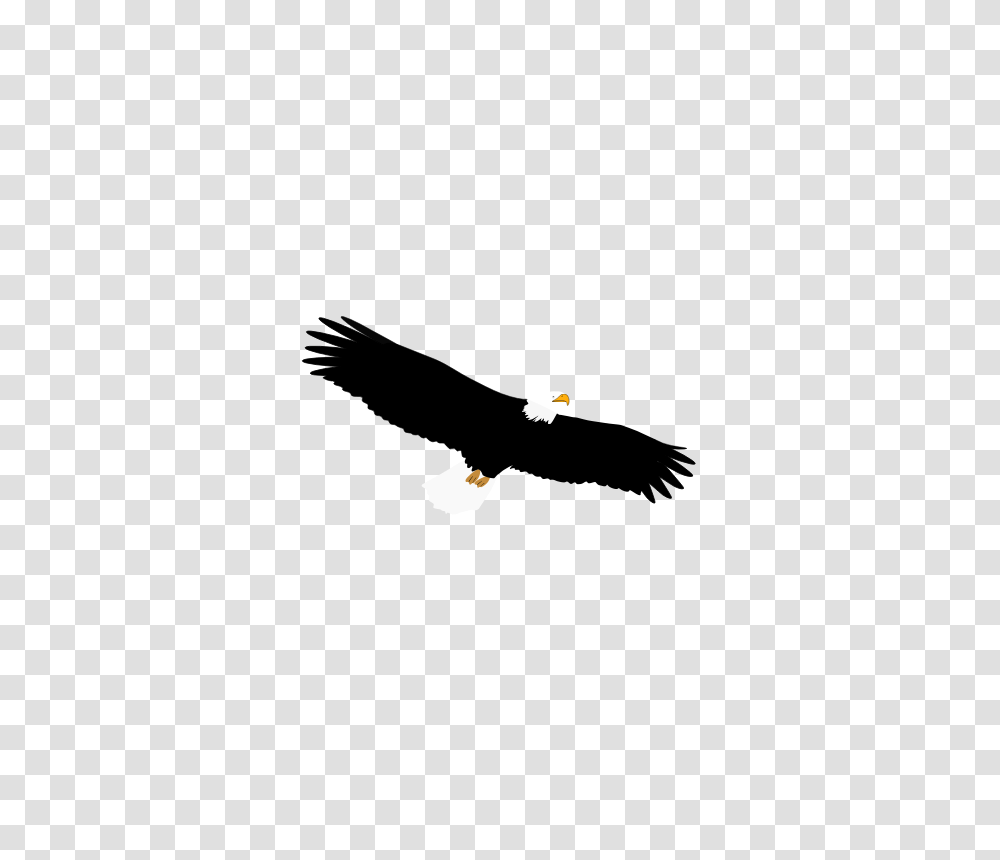 Eagle Feather Clip Art, Light, Stage, Urban Transparent Png