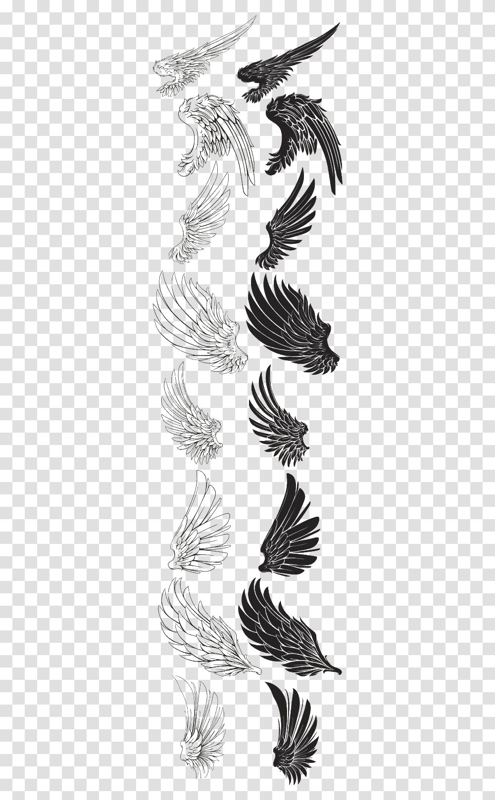 Eagle Feather Drawing Wings Brush Free Eagle Wings Drawing, Bird, Animal Transparent Png