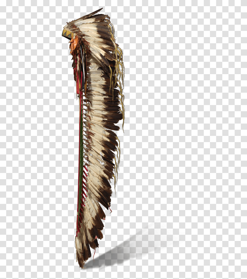 Eagle Feather Headdress, Brush, Tool, Arrow Transparent Png