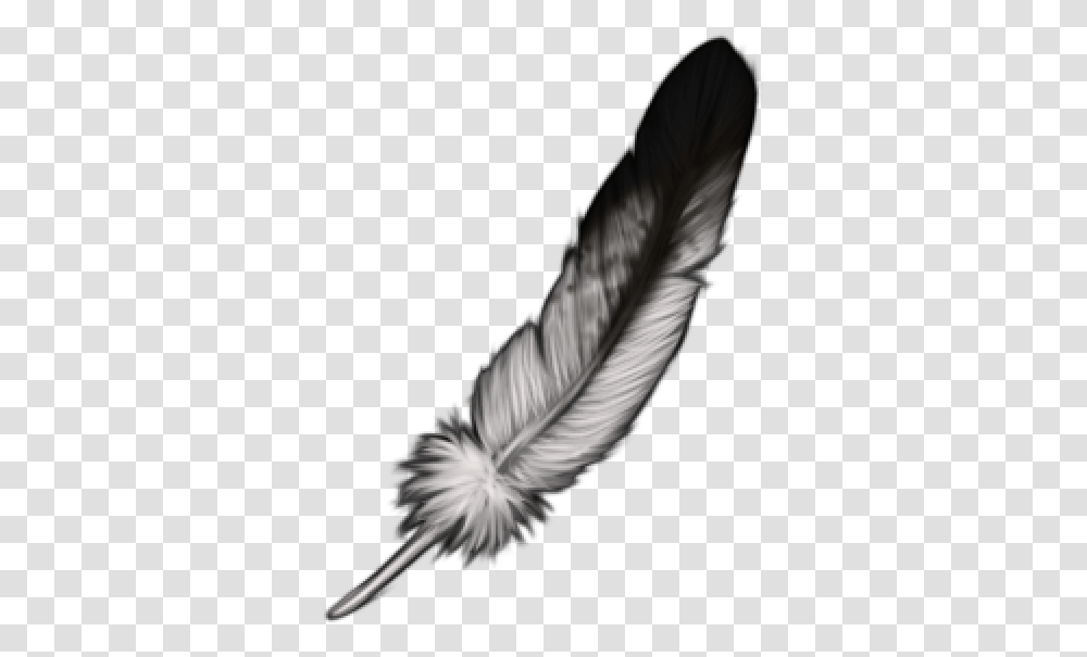 Eagle Feather Images Animal Product, Person, Feather Boa, Clothing, Hair Slide Transparent Png