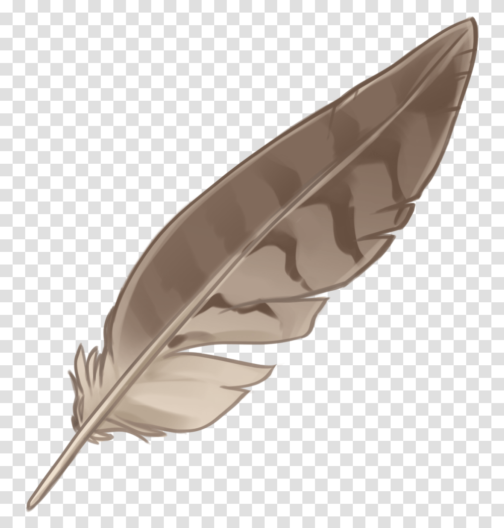 Eagle Feather Law Portable Network Graphics Native Native American Feather, Bottle, Ink Bottle, Leaf, Plant Transparent Png