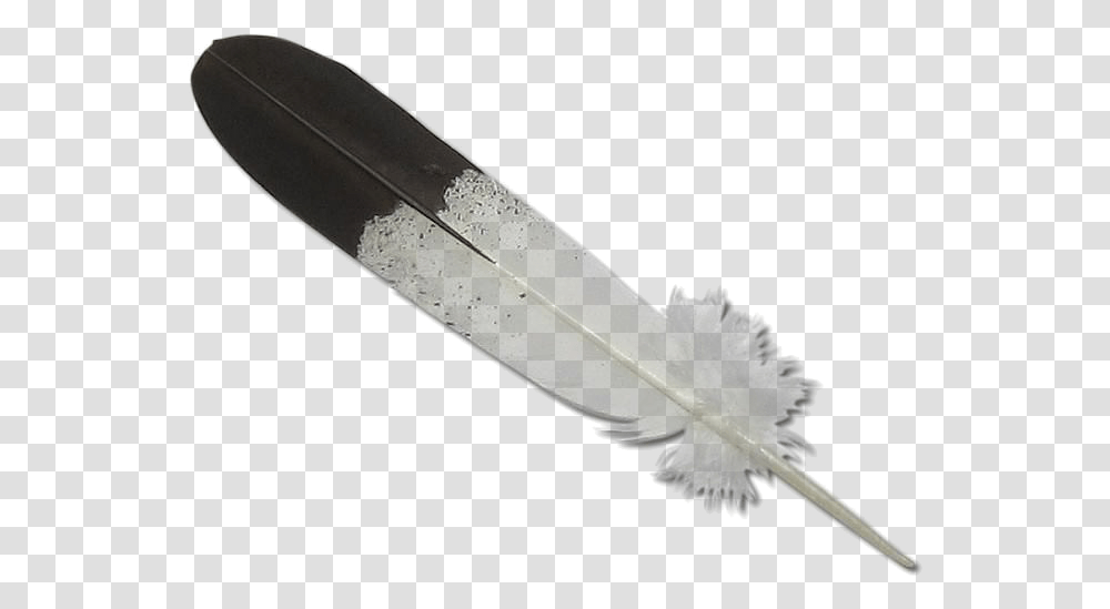 Eagle Feather, Leaf, Plant, Bottle, Ink Bottle Transparent Png