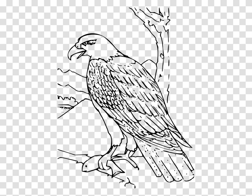Eagle Feather Wing Wildlife Majestic America Hawk Clipart Black And White, Gray, World Of Warcraft Transparent Png