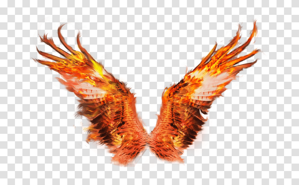Eagle Fire Phoenix Wings Background, Ornament, Pattern, Fractal, Person Transparent Png