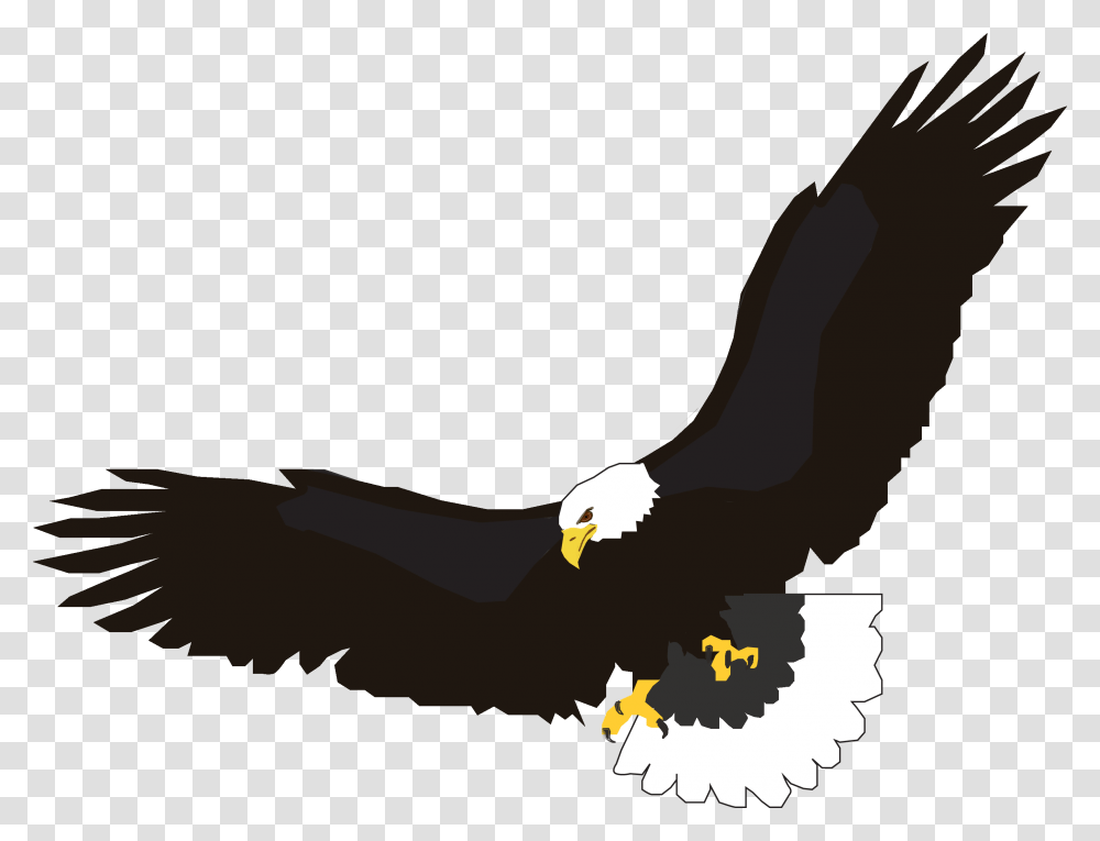 Eagle Flying Cliparts, Bird, Animal, Bald Eagle, Beak Transparent Png