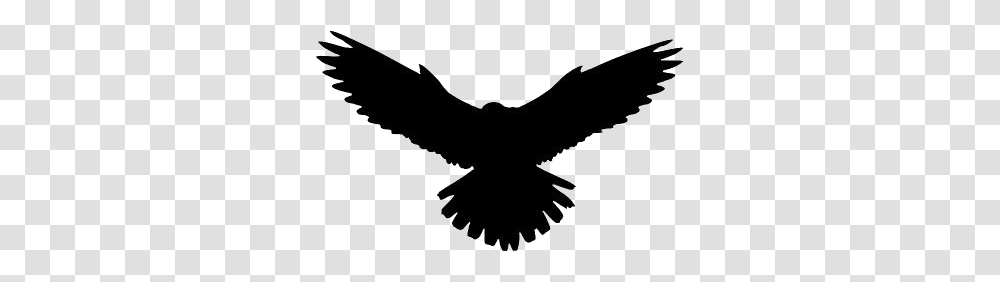 Eagle Flying Silhouette Eagle Flying Hawk, Bird, Animal, Blackbird Transparent Png