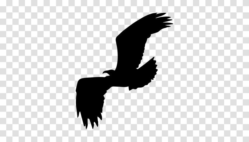 Eagle Flying Silhouette Eagle Silhouette, Gray, World Of Warcraft Transparent Png