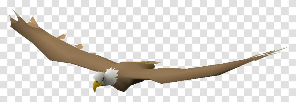 Eagle Flying, Sword, Blade, Weapon, Weaponry Transparent Png