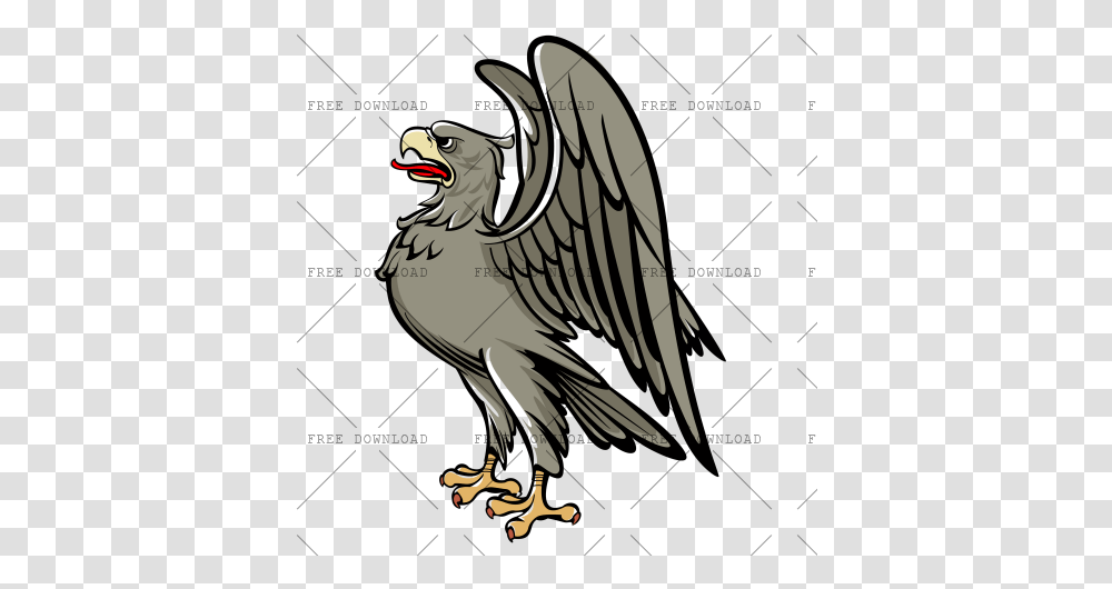 Eagle Hawk Bird Image With Birds Background, Vulture, Animal, Condor Transparent Png
