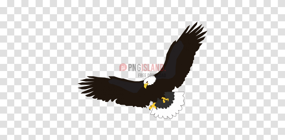 Eagle Hawk Bird Image With Village Elementary School Emporia Ks, Animal, Bald Eagle, Flying, Vulture Transparent Png