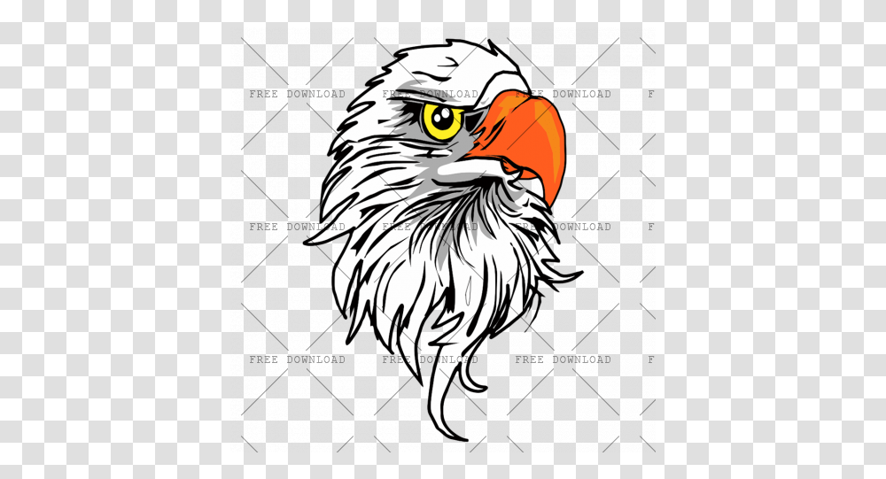 Eagle Hawk Kite Bird Image With Background Bike Sticker On Head, Animal, Beak, Bald Eagle, Tiger Transparent Png
