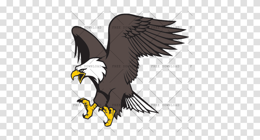 Eagle Hawk Kite Bird Image With Background Eagle Bird Background, Animal, Bald Eagle, Flying, Vulture Transparent Png